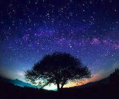 Tree and Stars