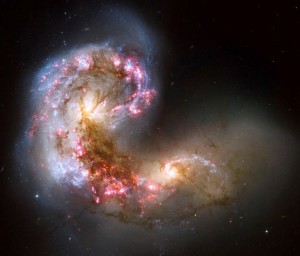 Life Cosmos