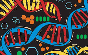 DNA Clues