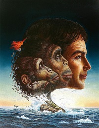Wild Human Theory